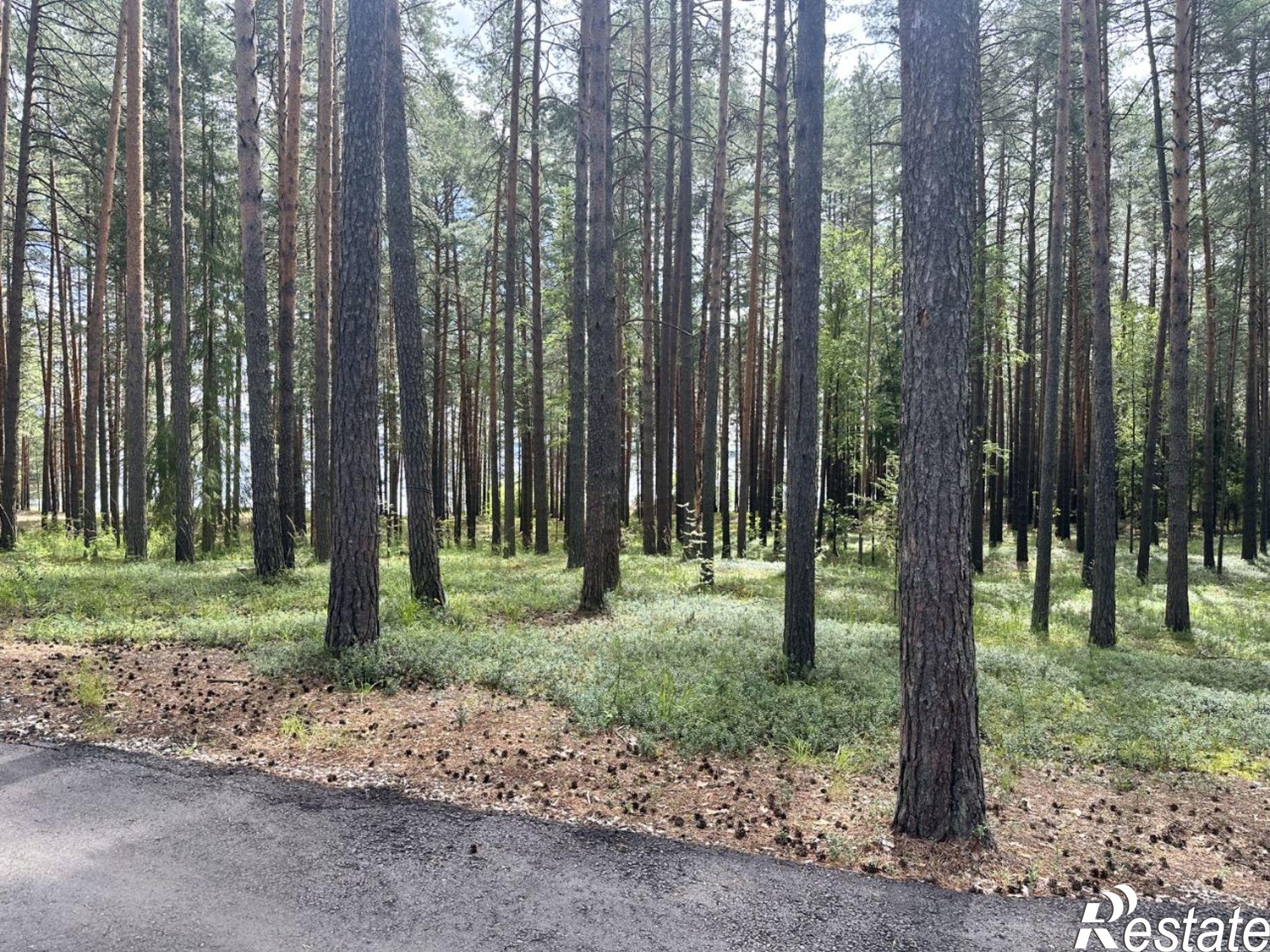 Купить землю, земельный участок за 210 000 000 рублей на ул Курортная, 1/9