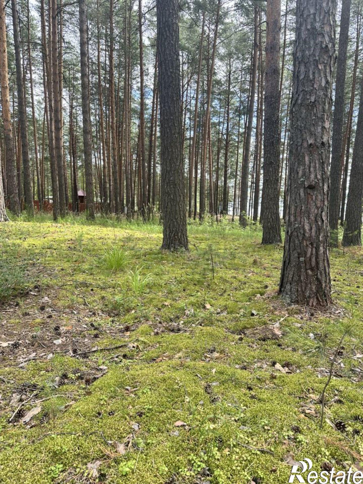 Купить землю, земельный участок за 210 000 000 рублей на ул Курортная, 1/9