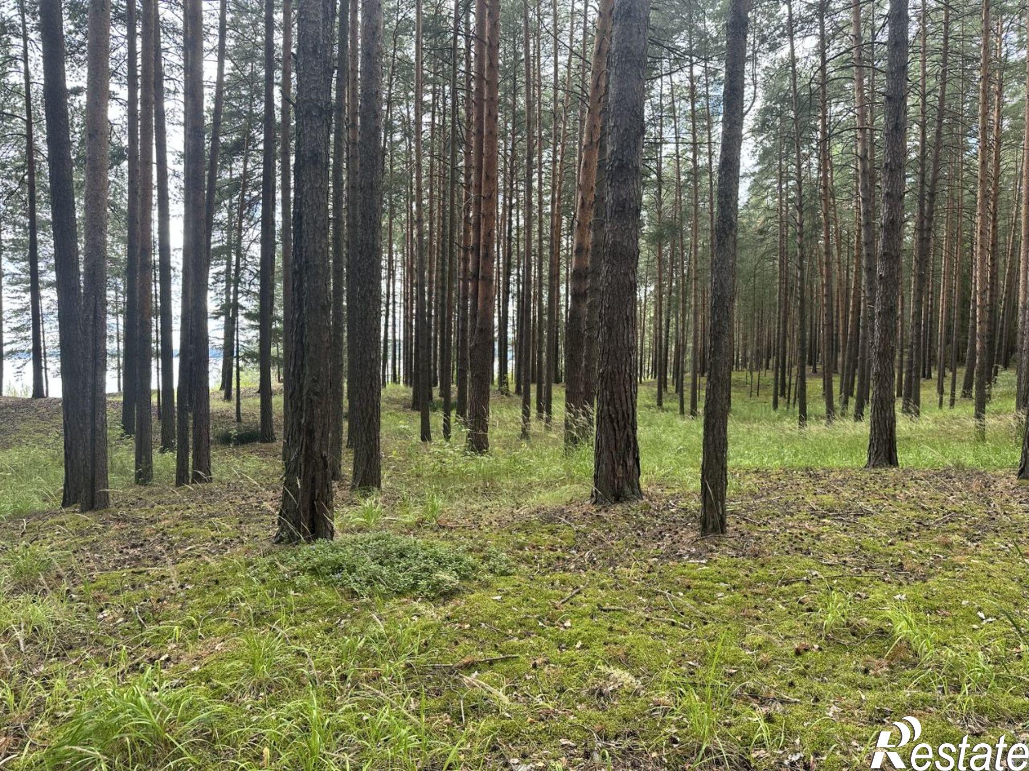 Купить землю, земельный участок за 210 000 000 рублей на ул Курортная, 1/9