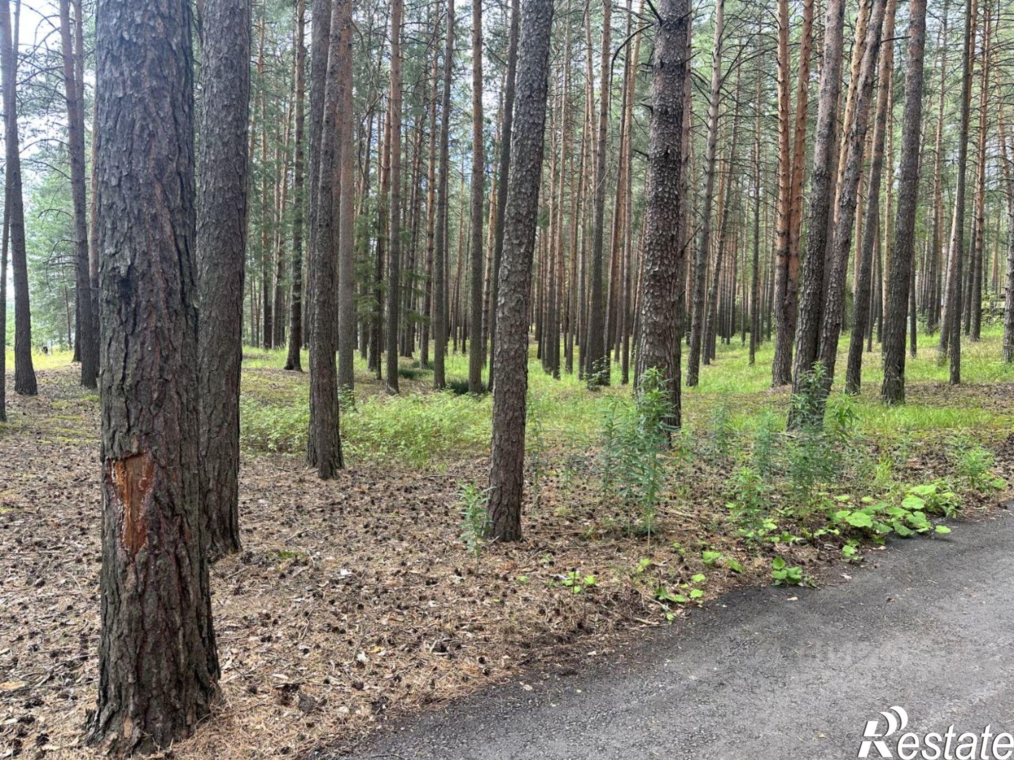 Купить землю, земельный участок за 210 000 000 рублей на ул Курортная, 1/9