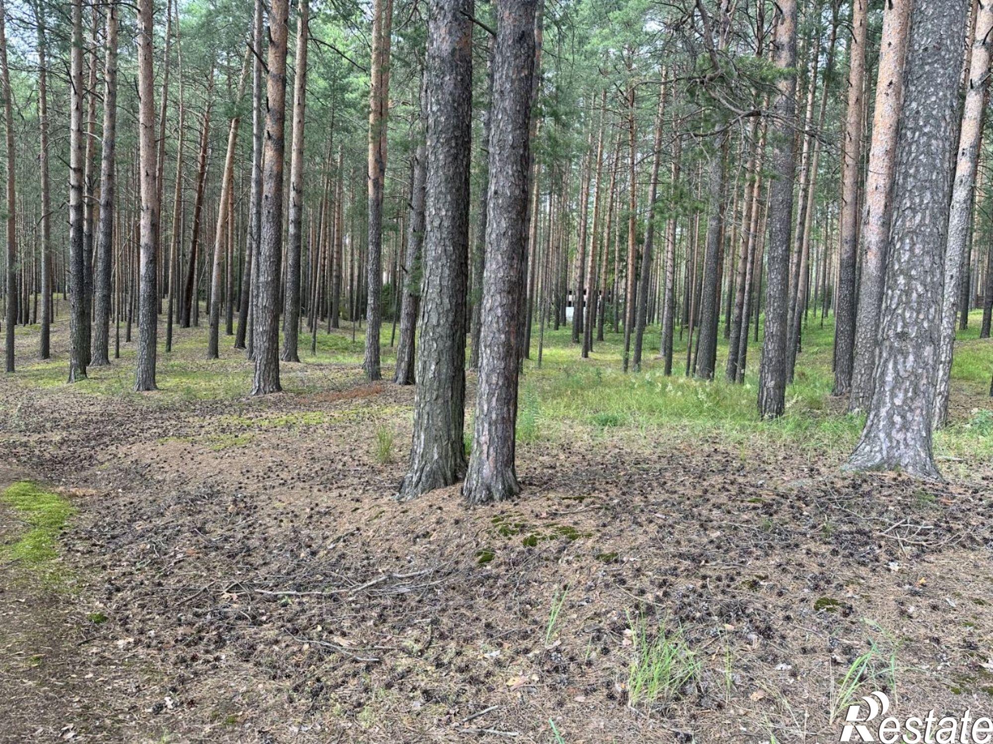 Купить землю, земельный участок за 210 000 000 рублей на ул Курортная, 1/9