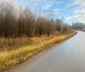 земля 500 сот Россия