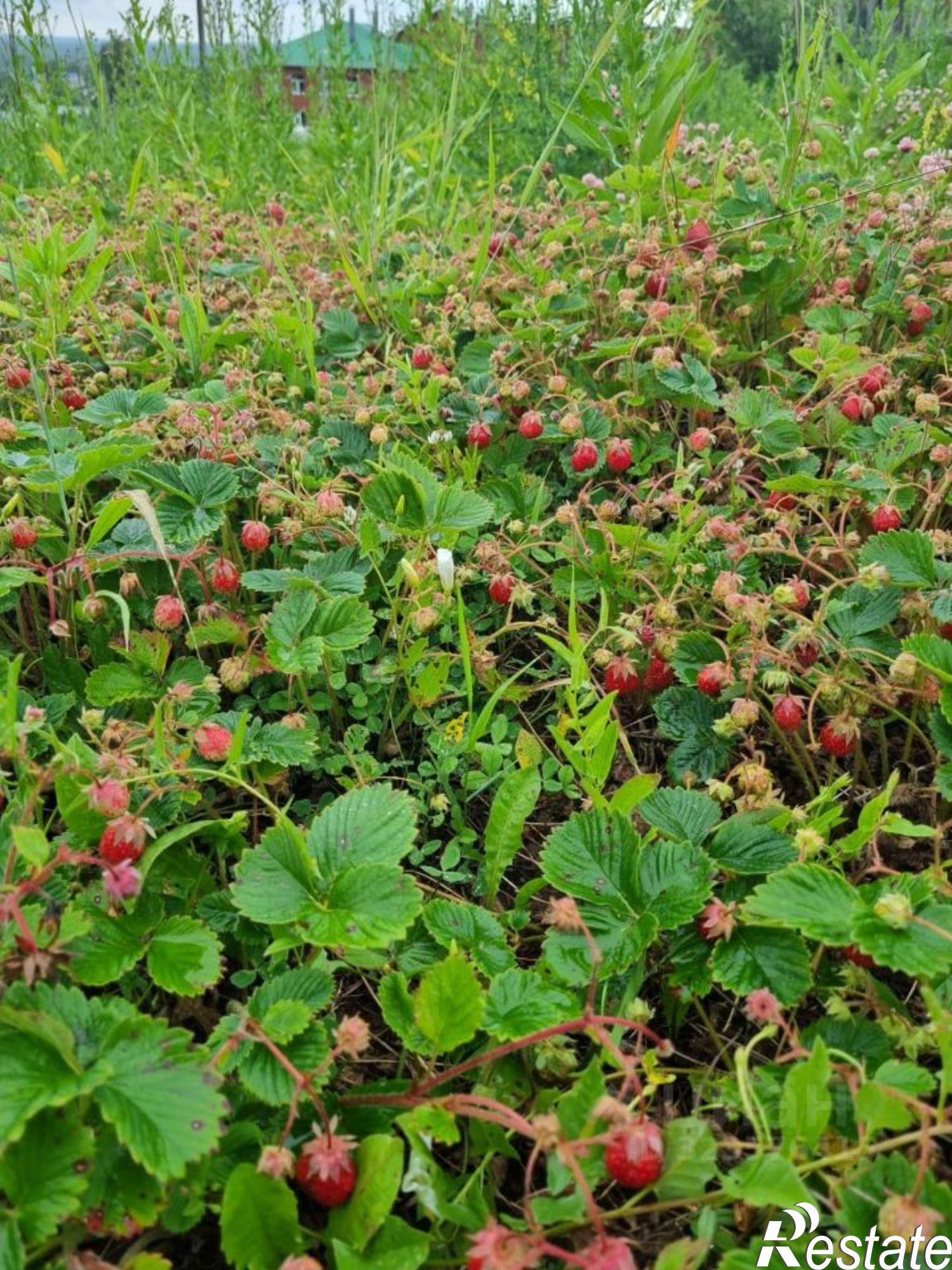 Купить дачу, дом, коттедж за 3 000 000 рублей на ул Пролетарская, 5