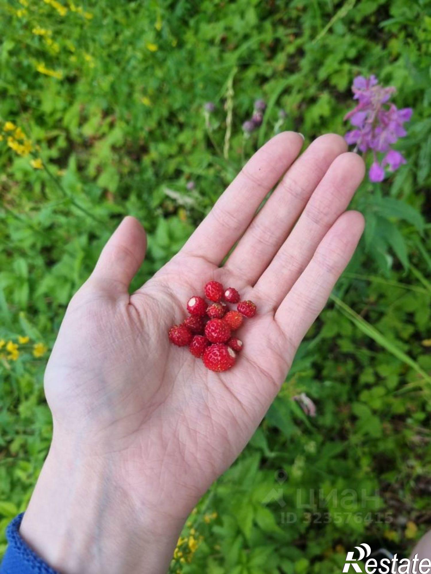 Купить дачу, дом, коттедж за 3 000 000 рублей на ул Пролетарская, 5