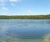 земля 50 сот Чусовской муниципальный округ