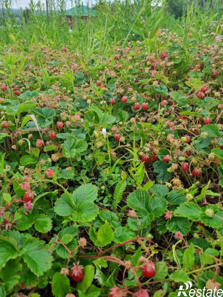 Коттедж/дом ул Пролетарская, 5,  д. 5