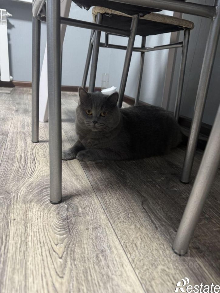 1-комн квартира ул Декабристов, 2,  д. 2