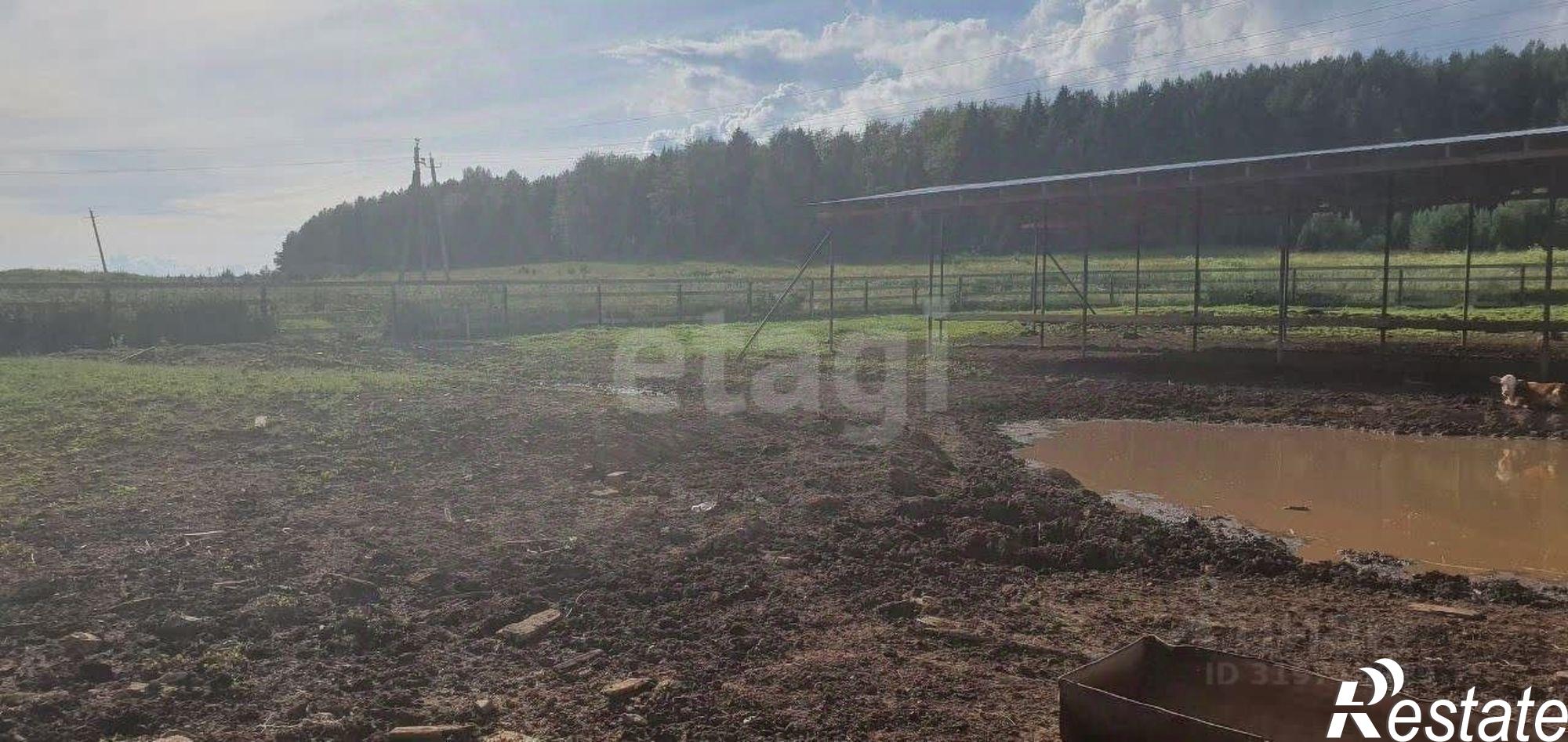 Купить складское помещение за 8 000 000 рублей на Ильинский муниципальный округ