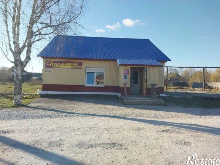 Отдельное здание улица Ленина, 3,  д. 3