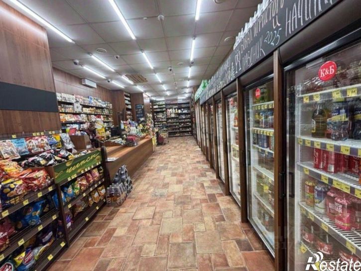 Торговое помещение г Соликамск, ул Мира, д 48