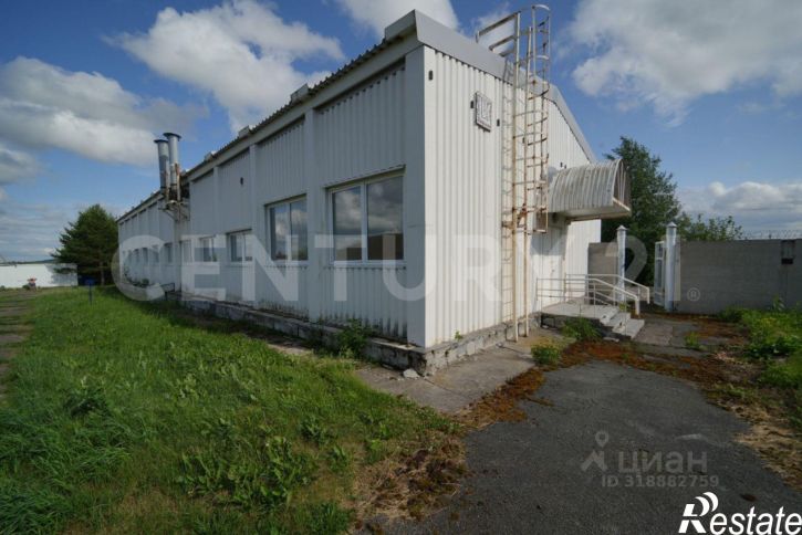 Производственное помещение Пермский район, Березник д.