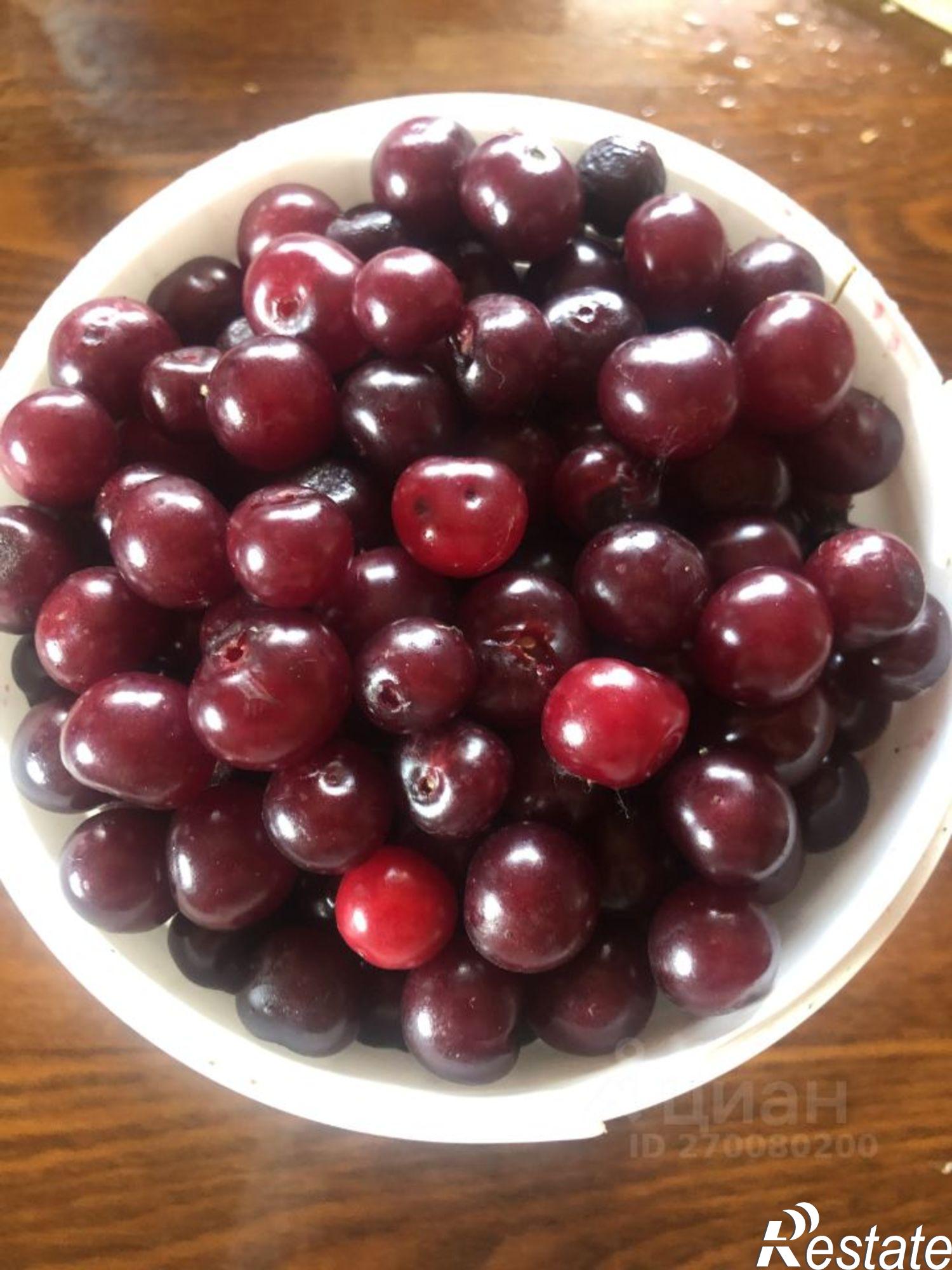 Купить дачу, дом, коттедж за 900 000 рублей на Центральная улица, 4