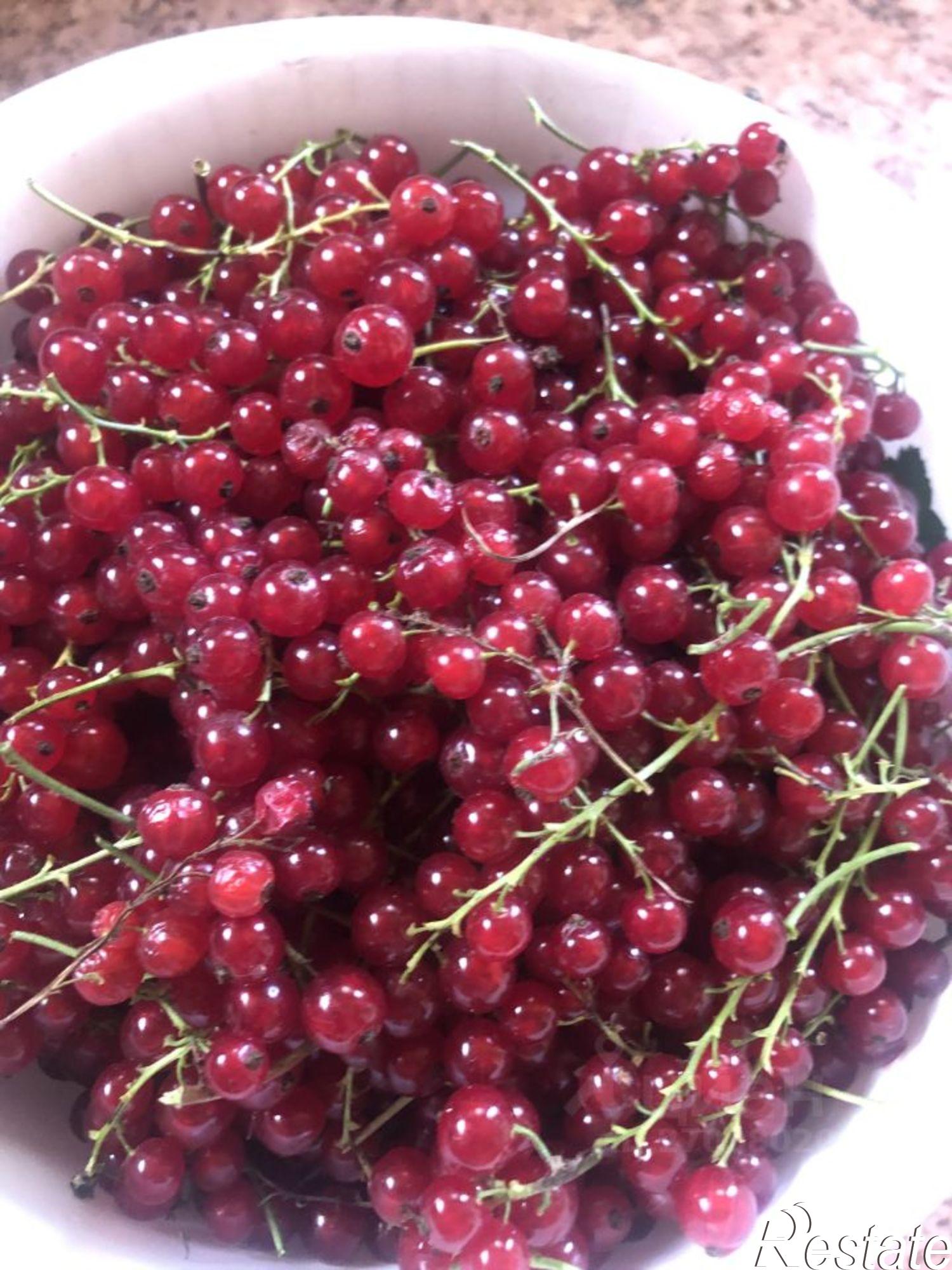 Купить дачу, дом, коттедж за 900 000 рублей на Центральная улица, 4