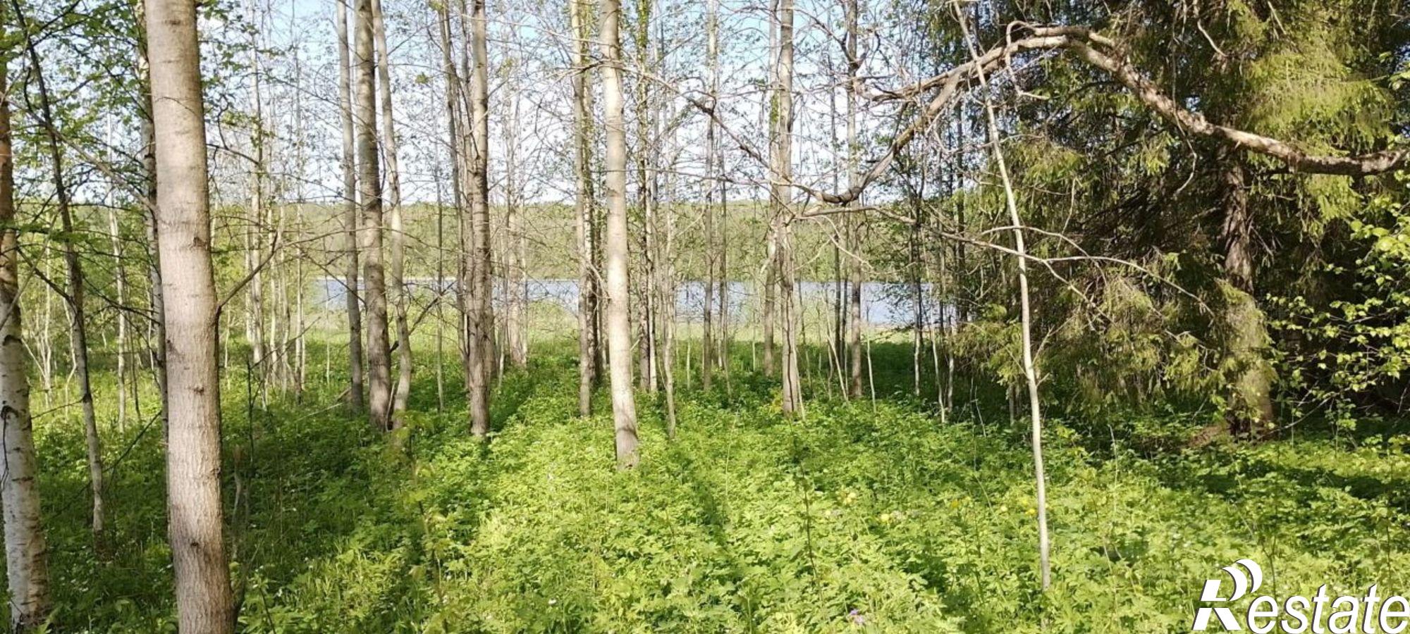 Купить землю, земельный участок за 750 000 рублей на Чусовской городской округ