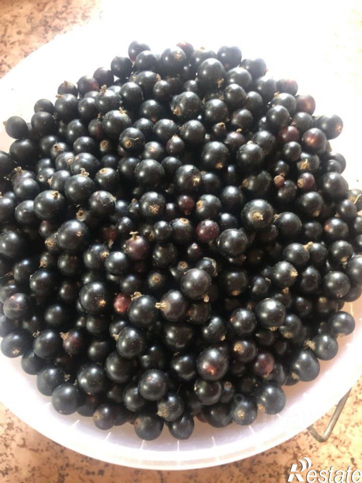 Коттедж/дом Центральная улица, 4,  д. 4