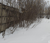 ОСЗ 62 кв м Причальная улица