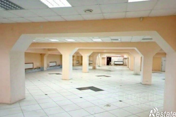 Торговое помещение ул Лесная, 17,  д. 17