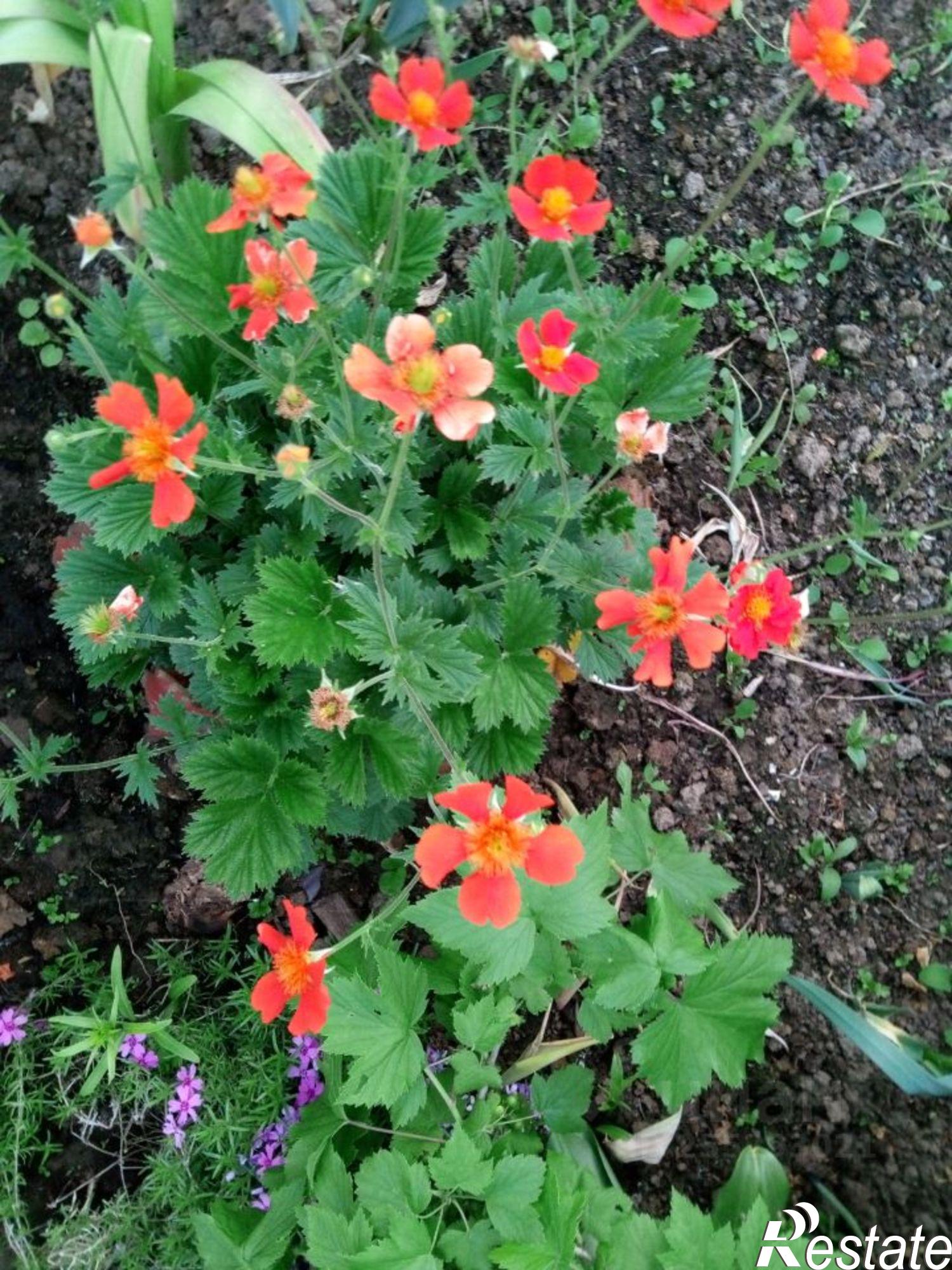 Купить дачу, дом, коттедж за 3 500 000 рублей на село Троица