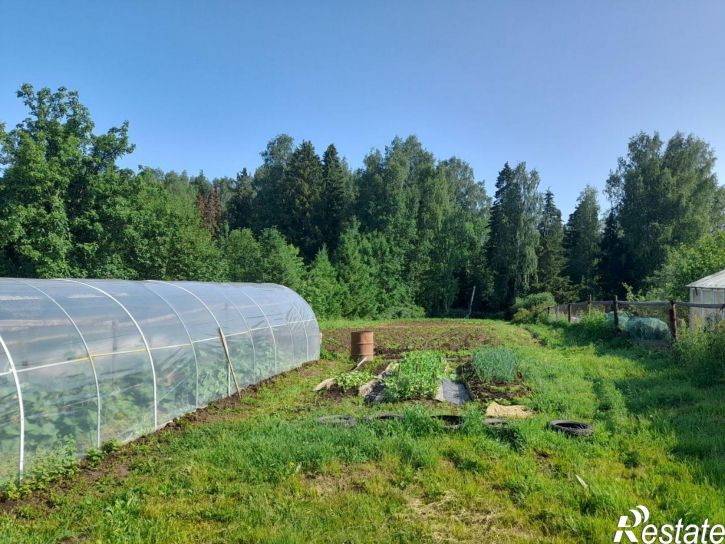 Коттедж/дом