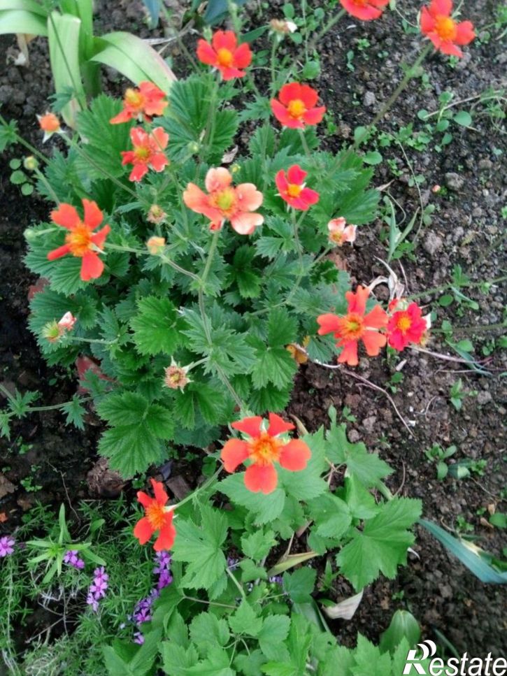 Коттедж/дом село Троица