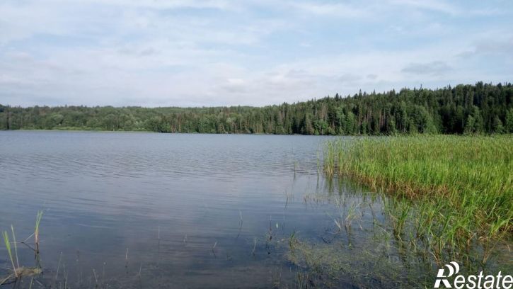 Земельный участок Чусовской городской округ