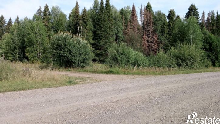 Земельный участок Чусовской городской округ