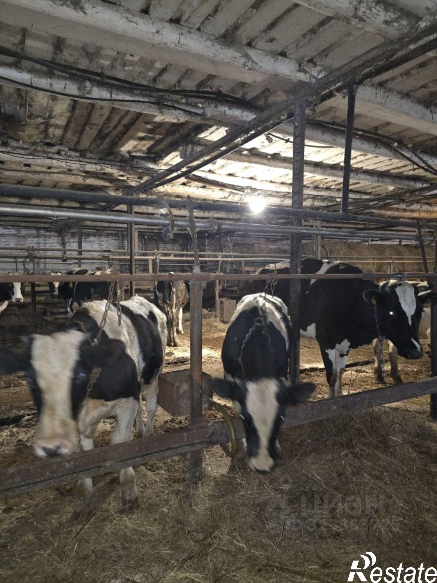 Купить производственную площадь за 6 000 700 рублей на ул Коровина, 12