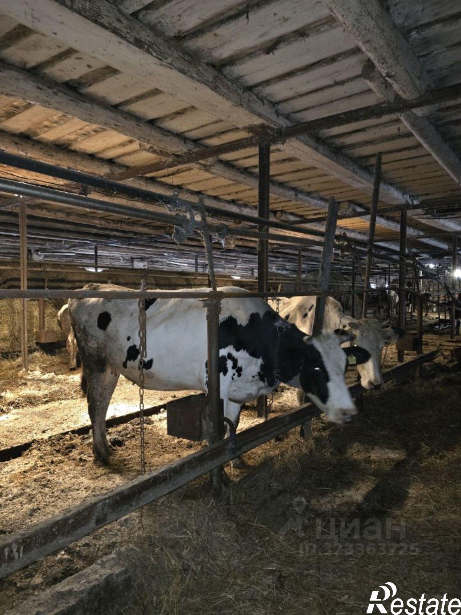 Купить производственную площадь за 6 000 700 рублей на ул Коровина, 12
