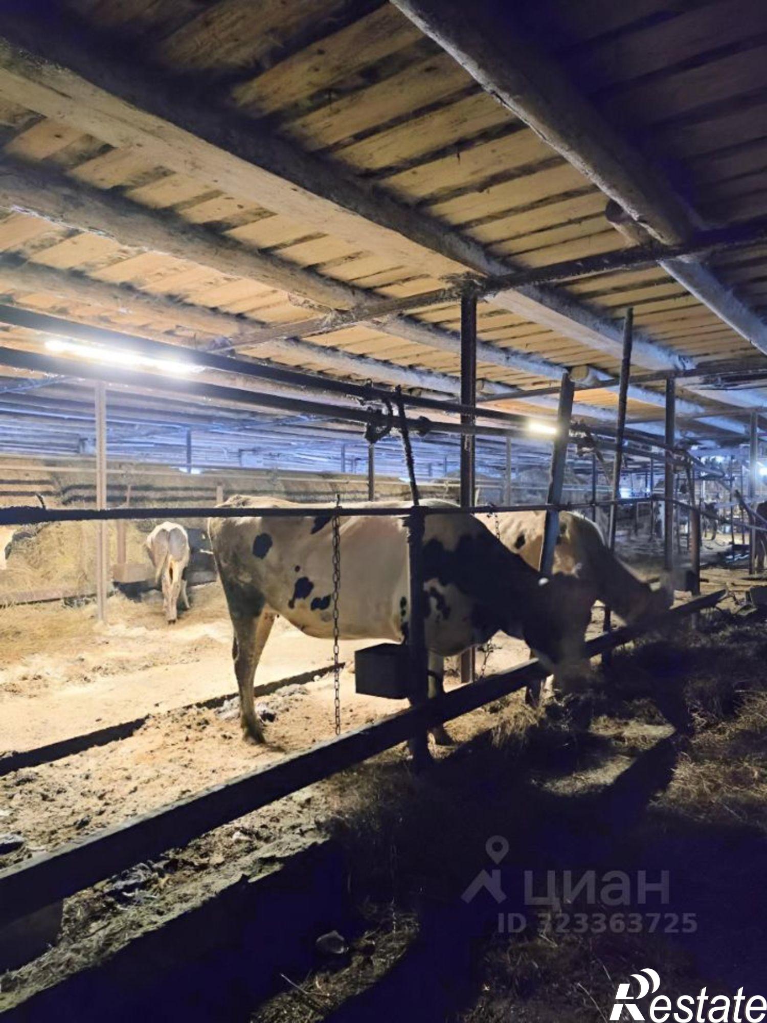 Купить производственную площадь за 6 000 700 рублей на ул Коровина, 12