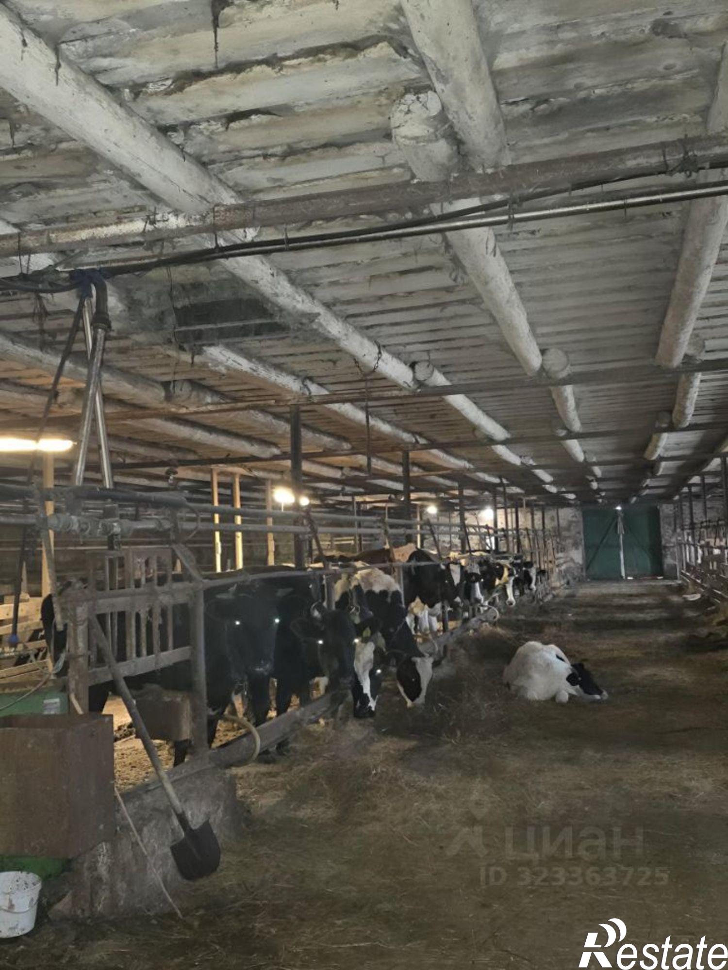 Купить производственную площадь за 6 000 700 рублей на ул Коровина, 12