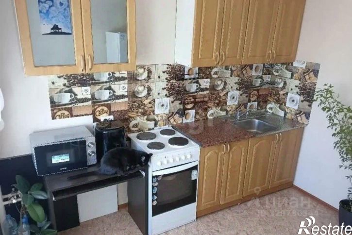 2-комн квартира городской округ Пермь, Пермь