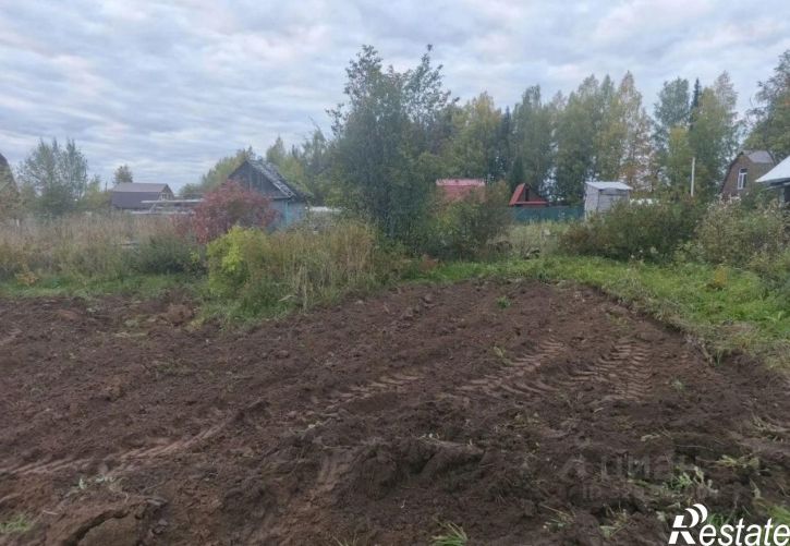 Земельный участок муниципальный округ Березники