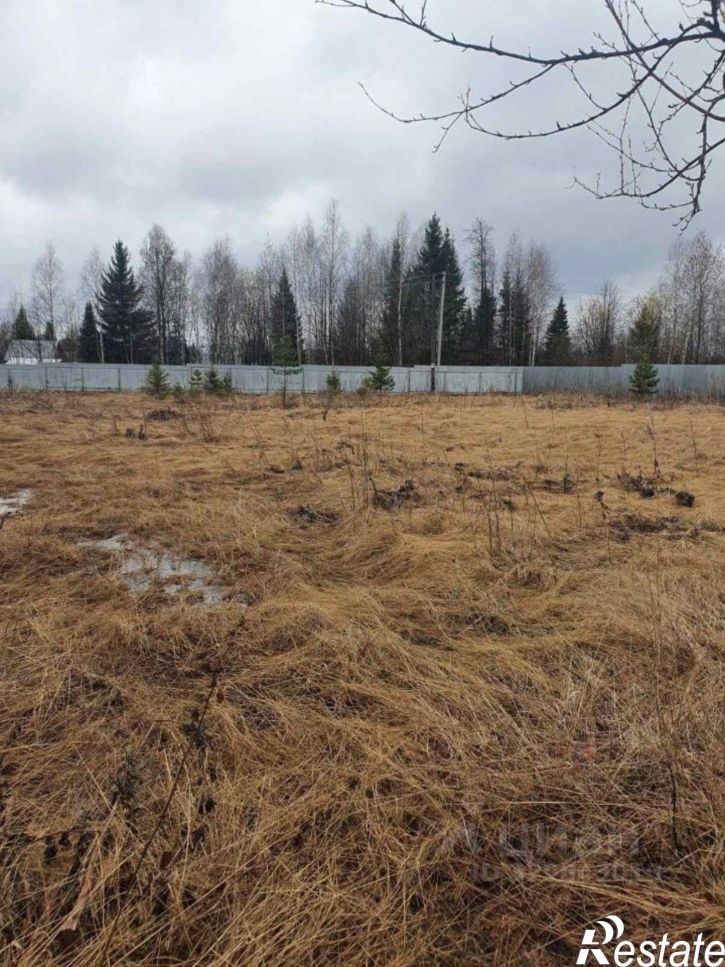 Земельный участок Пермский муниципальный округ