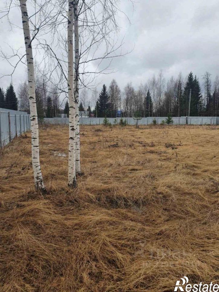 Земельный участок Пермский муниципальный округ