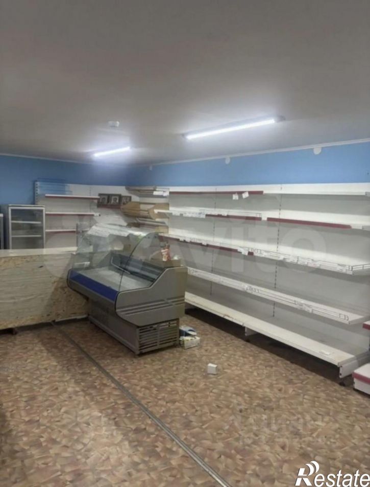 Торговое помещение Частинский р-н, деревня Западная, -, 44Б