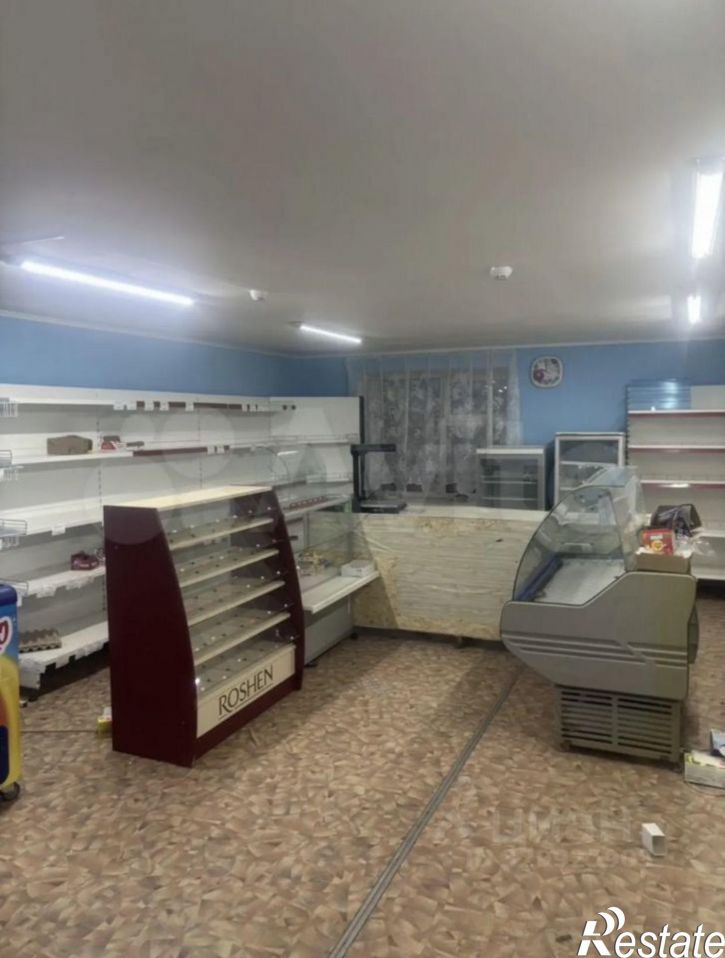 Торговое помещение Частинский р-н, деревня Западная, -, 44Б