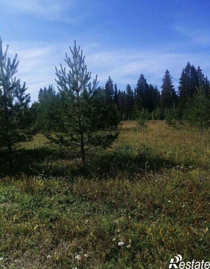 Земельный участок Заречная улица, 6А,  д. 6А