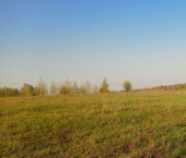земля 10 сот 