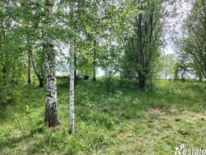Земельный участок Добрянский муниципальный округ