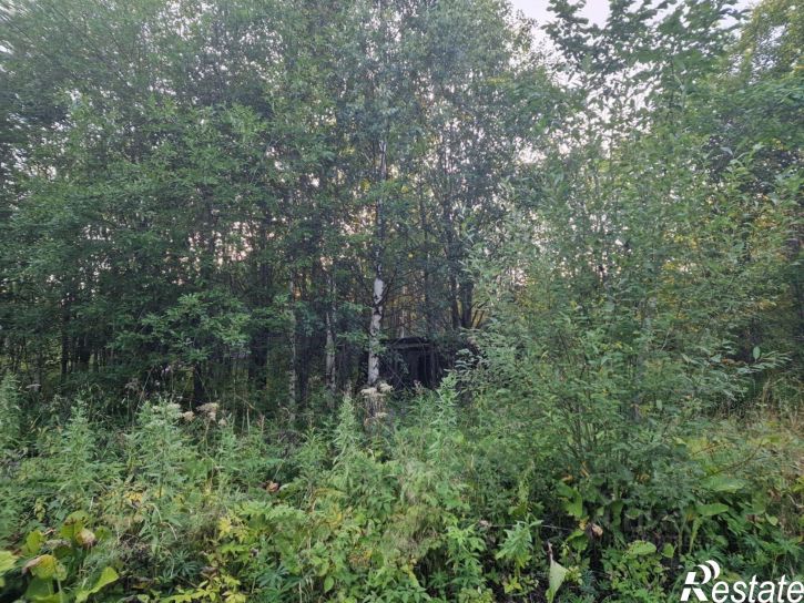 Земельный участок Пермский муниципальный округ