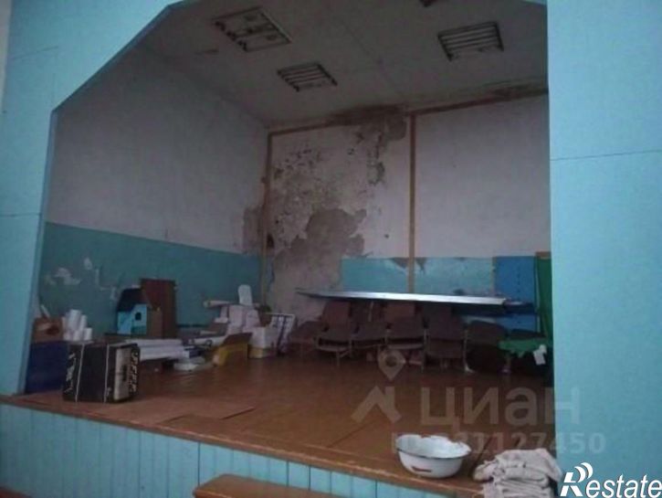 Отдельное здание м.о. Чернушинский, д. Таныпские Ключи