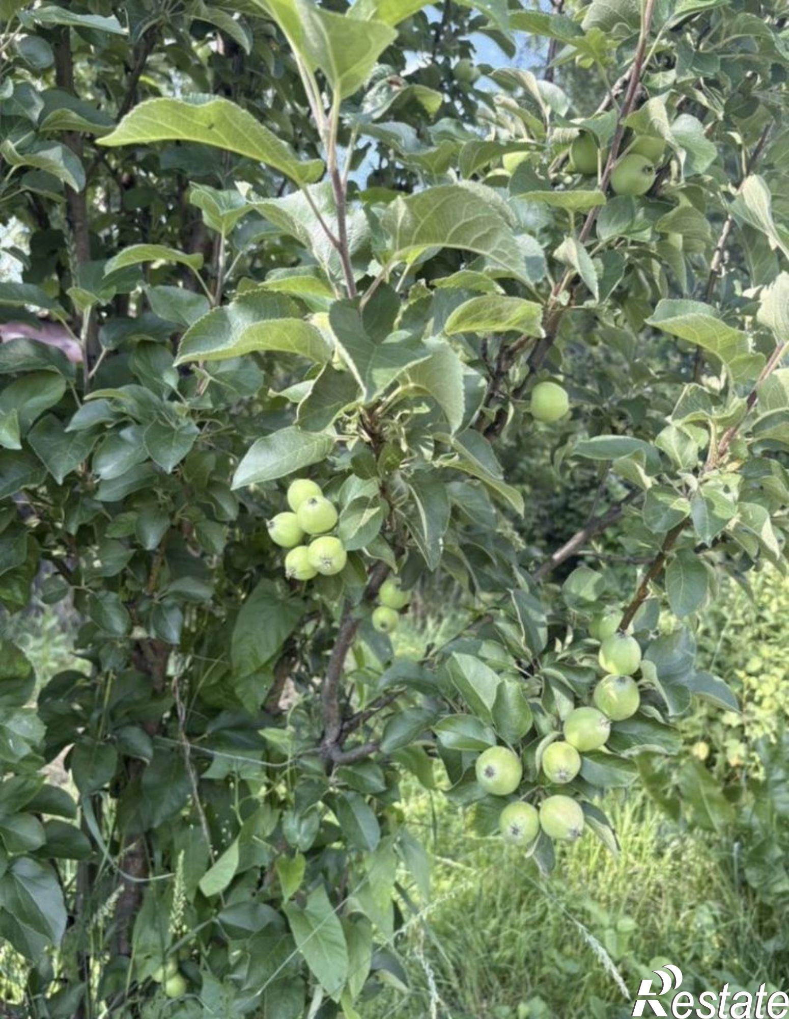 Купить дачу, дом, коттедж за 1 260 000 рублей на ул Октябрьская, 22а
