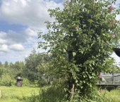 коттедж 46 кв м ул Октябрьская, 22а