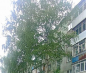 2-комн, 42кв м, этаж 3/5 ул Перовской, 1