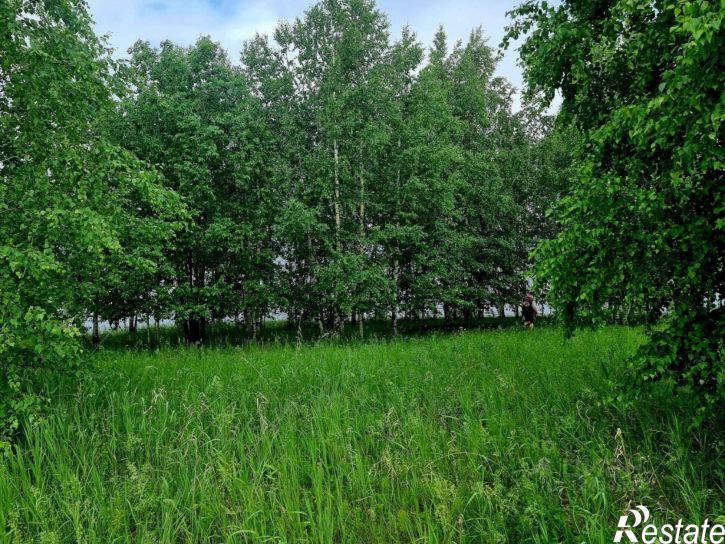 Земельный участок Добрянский муниципальный округ