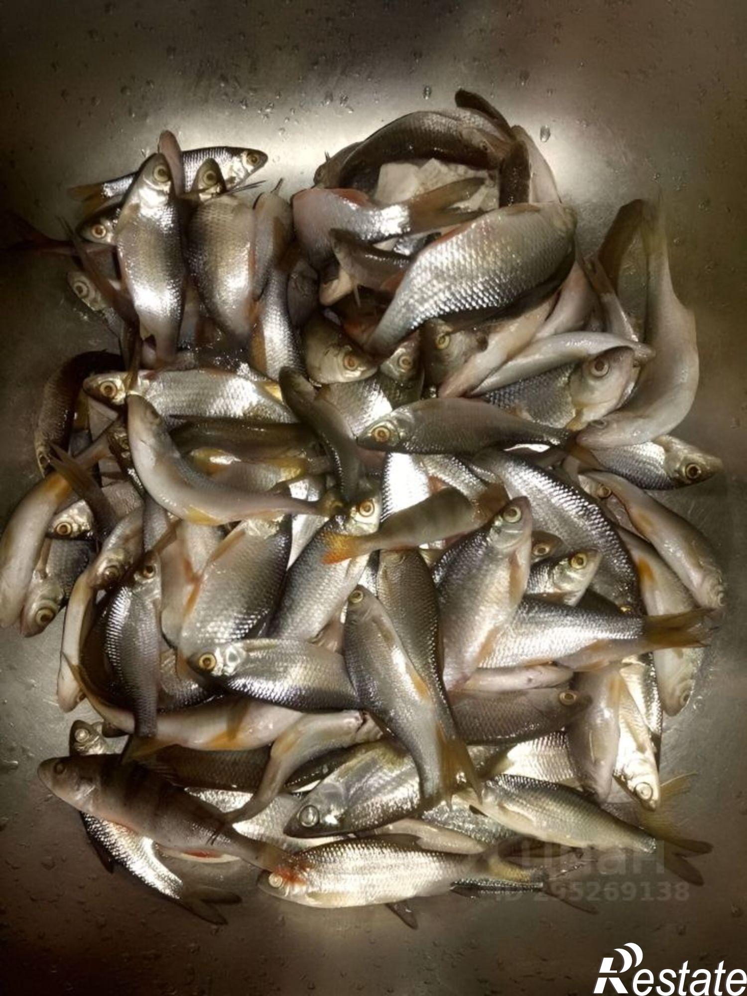 Купить дачу, дом, коттедж за 7 790 000 рублей
