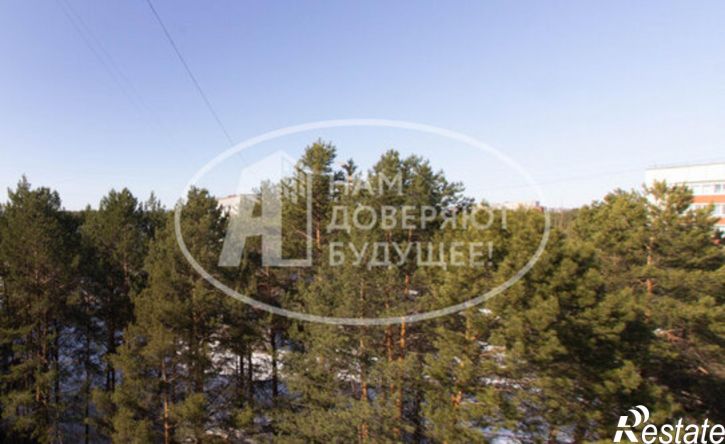 3-комн квартира пр-кт Победы, 24,  д. 24