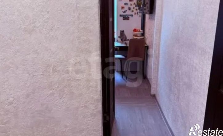 1-комн квартира Пермь, улица Елькина, 49