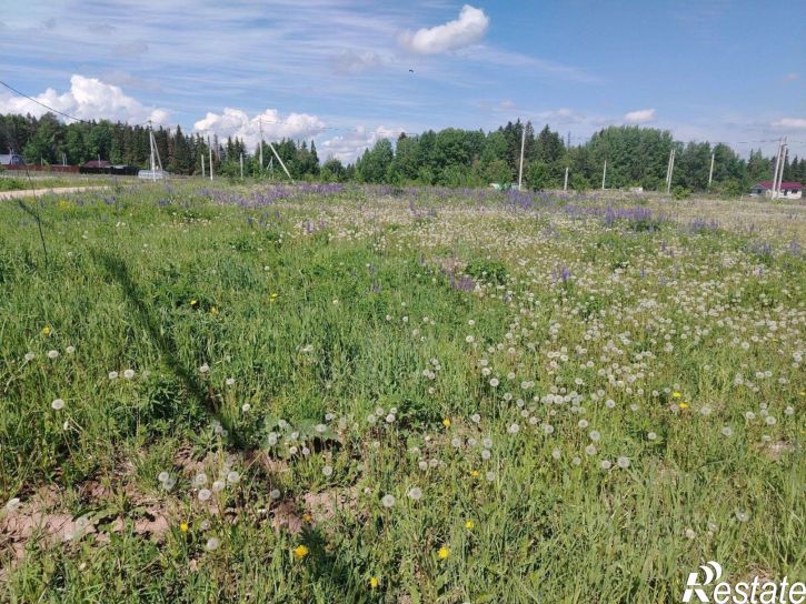 Земельный участок Пермский муниципальный округ