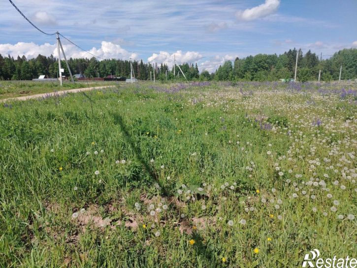 Земельный участок Пермский муниципальный округ